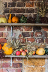 Why taking care of your gut health is so important. Here's what you need to know.